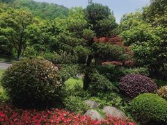 -杭州花家山庄