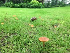 -碧桂园十里银滩