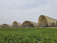 -中国天府农业博览园