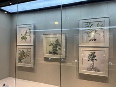 -广东中医药博物馆