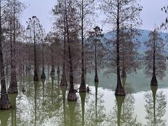 -顺峰山公园