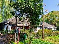 -金山农民画村-枫泾波兰倒置屋