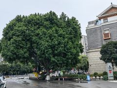 -窑埠古镇