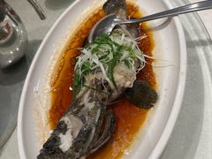 -大东海海鲜酒楼(渔人码头总店)