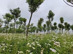 -西郊国际农产品交易中心