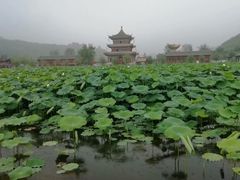 -渭南桃花源民俗文化园