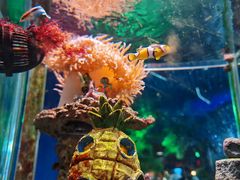 -太平洋海底世界