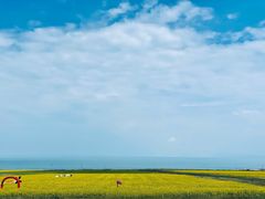 -青海湖国家重点风景名胜区