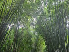 -成都杜甫草堂博物馆