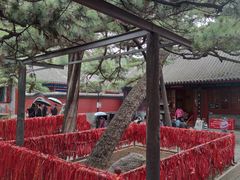 -红螺寺