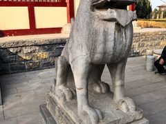 -洛阳古墓博物馆