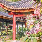 “啡”尝大良 │ 顺峰山公园里飘出浓浓咖啡香 