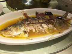 -圆苑(上海广场店)