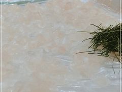 -联邦酒楼