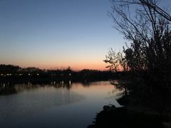 -大兴滨河森林公园