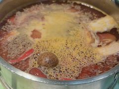 -番食园鲜食火锅(高新店)