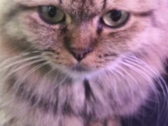-极木²邸 人与宠物·互动社区