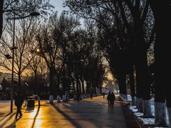 -人民防洪胜利纪念塔