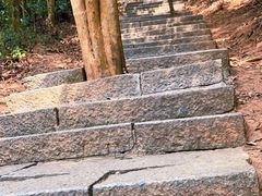 -梧桐山风景名胜区