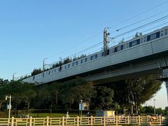 -宝安西湾红树林湿地公园