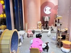 -囡的喵喵酱·萌宠生活馆·宠物洗护美容(胶州路店)