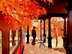 -Blue Concept Cafe&Farm·關於藍