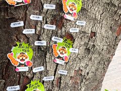 -兵立王鲜果茶·奶茶(文庙店)