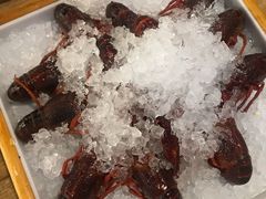 -旺小胖小龙虾