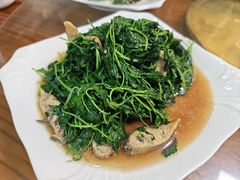 蚌肉金花菜-小春农家乐