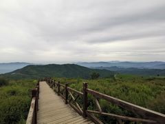 -阳台山自然风景区