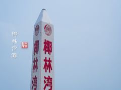 -东郊椰林