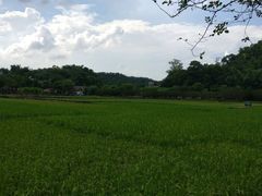 -红山村