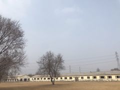 -北京群众马术培训基地
