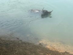 -杭州双溪漂流景区