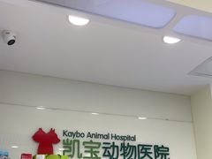 -悦宠凯宝动物医院·牙科·皮肤科(朝阳北路店)