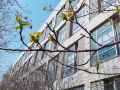 -同济大学(嘉定校区)