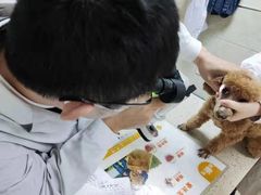 -动物缘宠物医院·骨科·猫科(西二环店)