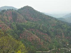 -木兰云雾山