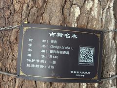 -虞山风景区