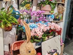 -FEI FEI FLOWER鲜花店·气球派对·宝宝宴布置(虹口德必运动Loft店)