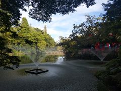 -井之头恩赐公园