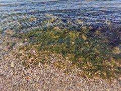 -抚仙湖禄充风景区