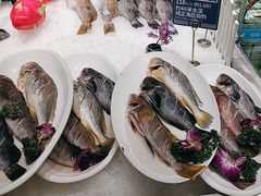 -大锅强·蒸海鲜青岛菜(金沙滩店)