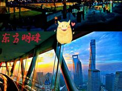 -东方明珠广播电视塔