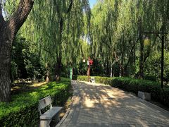 -古塔公园