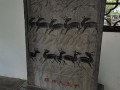 -上海醉白池公园