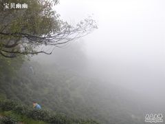 旁边的茶园-龙井壹号·茶缘山景宴(龙井村店)