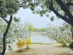 -南海子公园