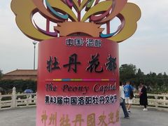 -神州牡丹园
