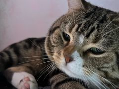 -瑞鹏瑞爱宠物医院·全科·猫科·血液透析中心(龙头寺店)